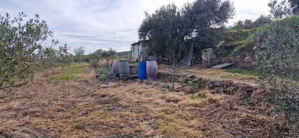 Terrain agricole et de loisir de  20600 m2