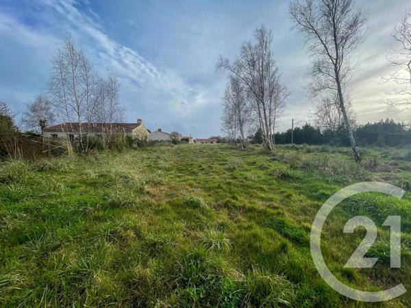 Terrain à vendre  3083 m 2   LE FENOUILLER  - 85