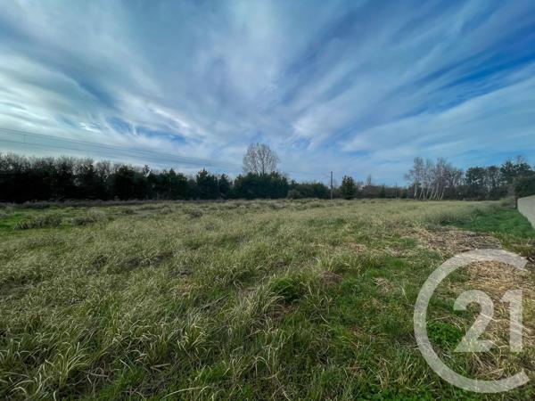 Terrain à vendre  3083 m 2   LE FENOUILLER  - 85