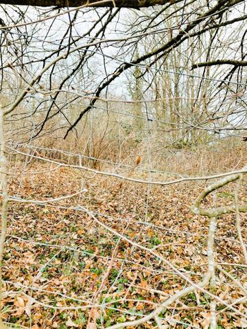 Noidans les Vesoul, divers terrains pour une contenance de  23,79 ares