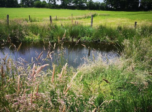 Maison à SAINT-AUBERT-SUR-ORNE, 61210 - 2 pièces 60m²