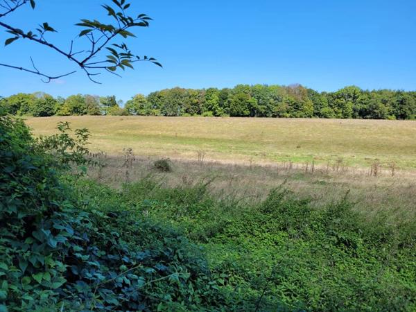 Vente Maison 7 pièces 220 m2 à Sautel