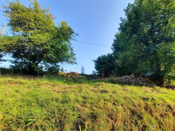 Terrain constructible 1 566 m² – 67420 Plaine