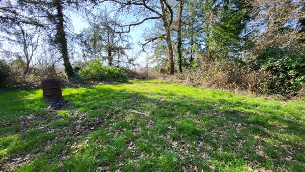 24130  Entre  Bergerac et Mussidan Grange bois   sur parcelles de 5900 m²  environ