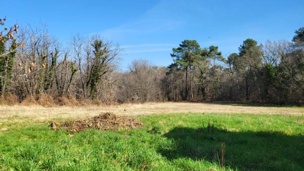 24130  Entre  Bergerac et Mussidan Grange bois   sur parcelles de 5900 m²  environ