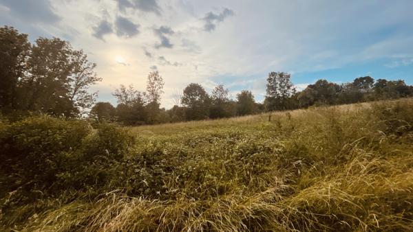 Provency (89200) Terrain de loisirs de 2880 m2 avec vue dégagée sur la nature 18 000 €