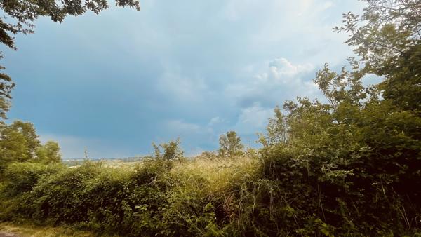 Provency (89200) Terrain de loisirs de 2880 m2 avec vue dégagée sur la nature 18 000 €