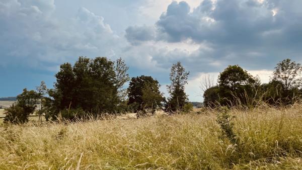 Provency (89200) Terrain de loisirs de 2880 m2 avec vue dégagée sur la nature 18 000 €