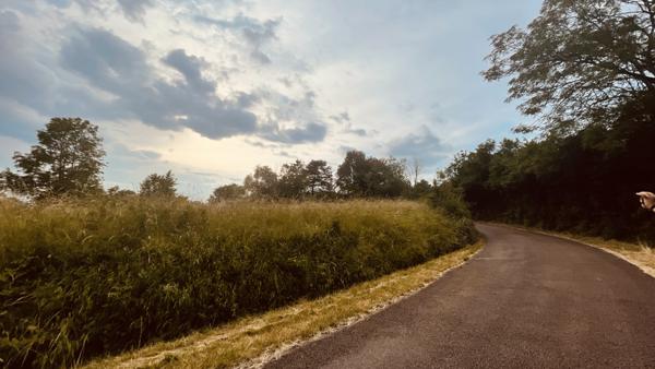 Provency (89200) Terrain de loisirs de 2880 m2 avec vue dégagée sur la nature 18 000 €