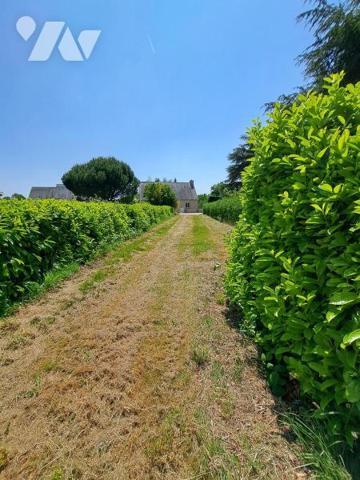 Terrain à bâtir - NOYAL-PONTIVY