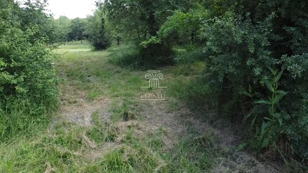 Eauze (32800) TERRAIN A BATIR 3335M² - EAUZE/CONDOM - ENVIRONNEMENT CALME ET PARCELLE NATURELLE