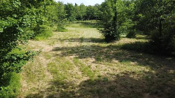 Eauze (32800) TERRAIN A BATIR 3335M² - EAUZE/CONDOM - ENVIRONNEMENT CALME ET PARCELLE NATURELLE