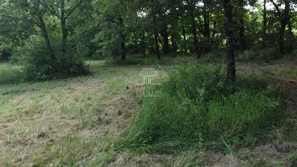 Eauze (32800) TERRAIN A BATIR 3335M² - EAUZE/CONDOM - ENVIRONNEMENT CALME ET PARCELLE NATURELLE