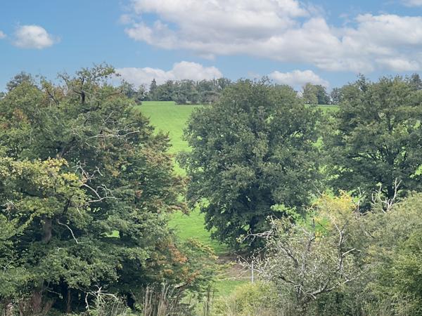 Maison à vendre à La Celle-Dunoise (23800) - Creuse
