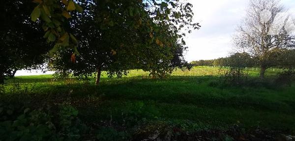 Corp de ferme avec terrain