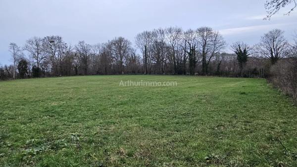 Vente Terrain 8698 m2 à Bavent
