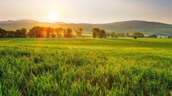 Vente Terrain 8698 m2 à Bavent