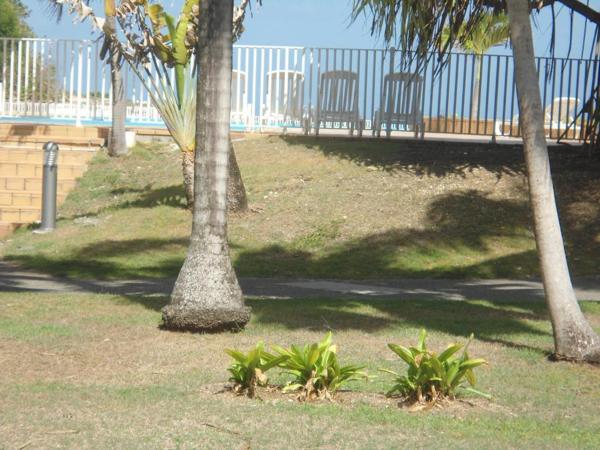 T2  Anse des Rochers - Rez de jardin - Côté mer - Vue piscine - Meublé