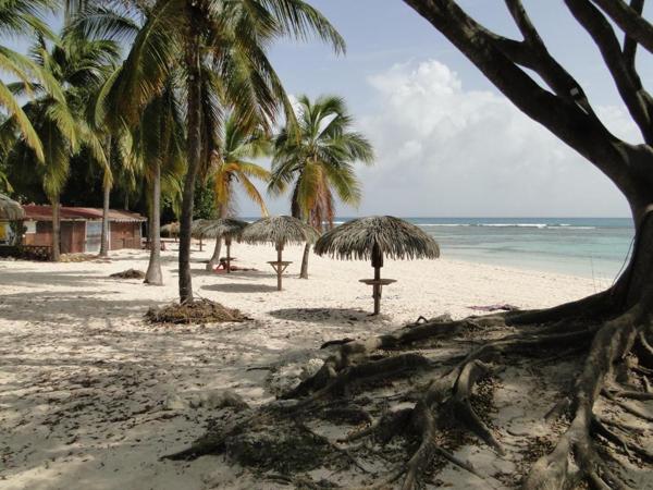 T2  Anse des Rochers - Rez de jardin - Côté mer - Vue piscine - Meublé
