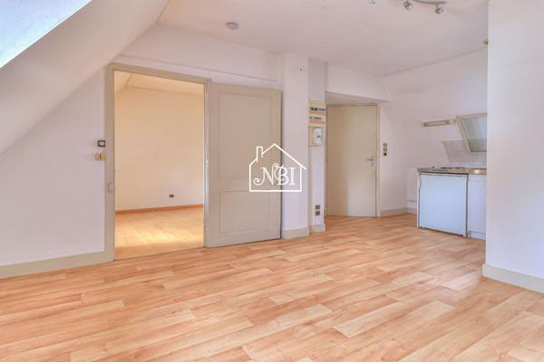 À VENDRE Appartement T1 bis 19.31 m2 LAVAL Rive droite