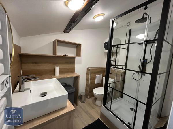 Appartement à louer 1 pièce 14.91m² Roanne (42300)