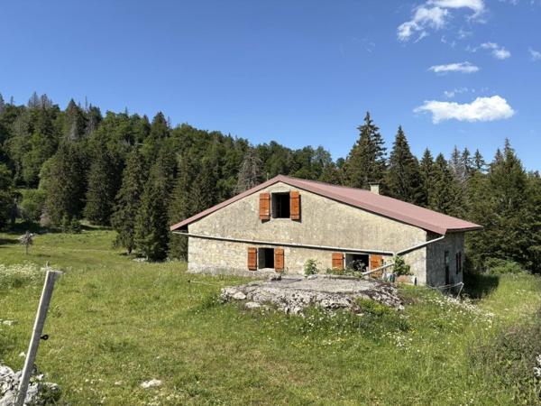 Vente / Chalet