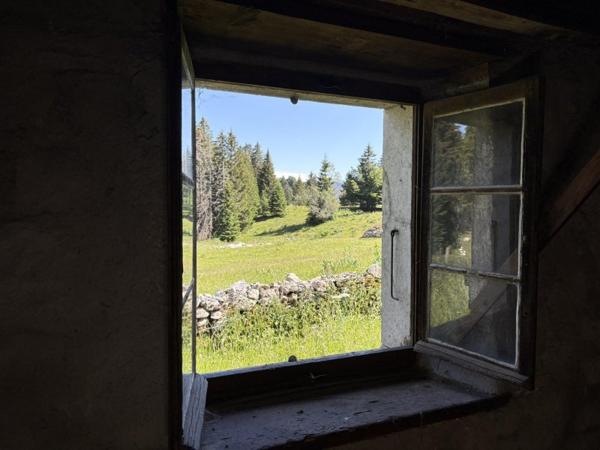 Vente / Chalet
