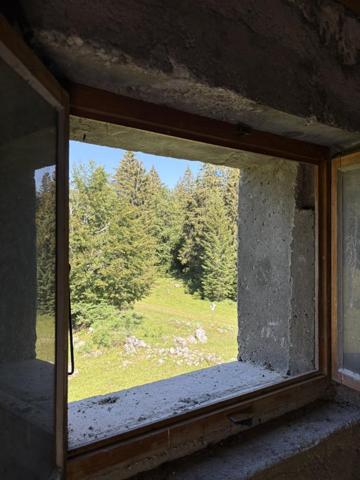 Vente / Chalet