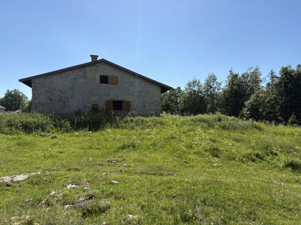 Vente / Chalet