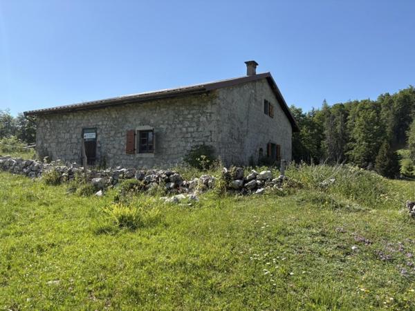 Vente / Chalet