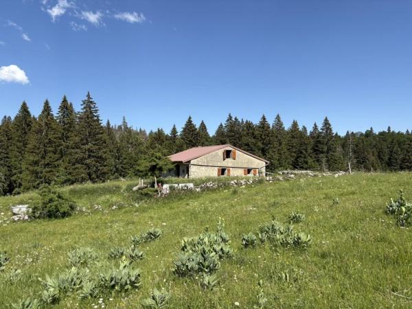 Vente / Chalet