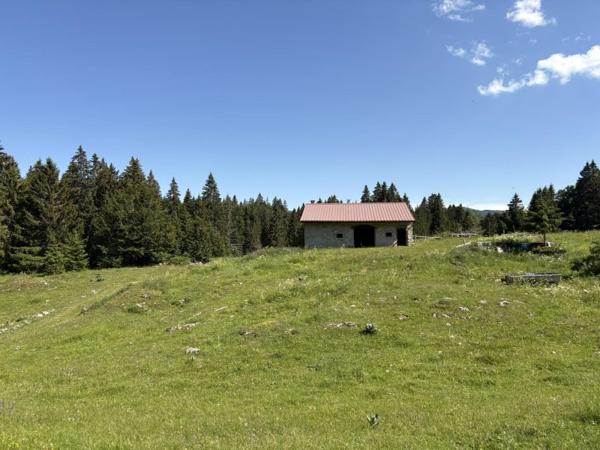Vente / Chalet