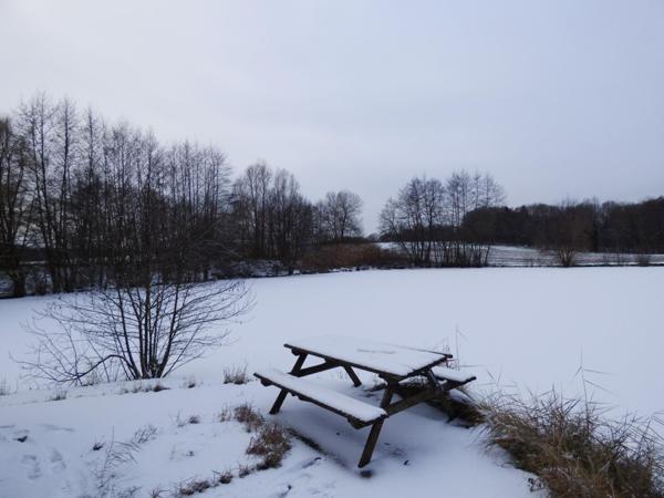 Ensemble de 2 étangs