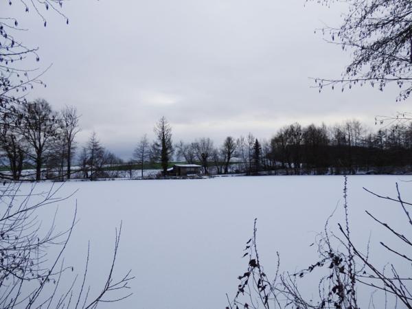 Ensemble de 2 étangs