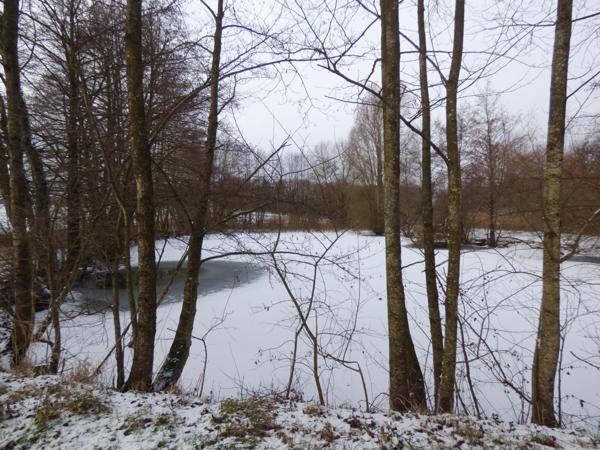 Ensemble de 2 étangs