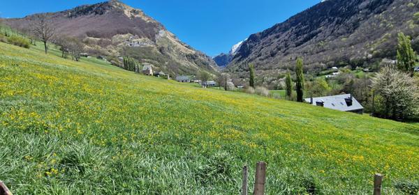 Maison 3 pièces - 158 m²