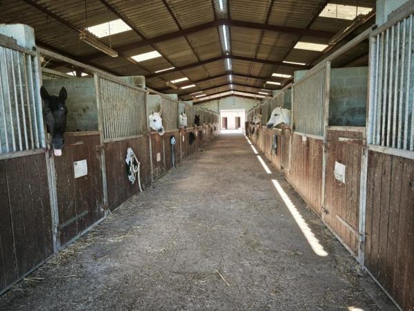maison individuelle+ haras de 26 hectares à vendre