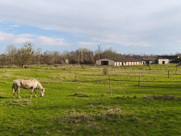 maison individuelle+ haras de 26 hectares à vendre