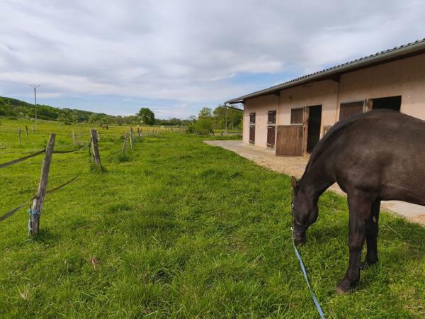 maison individuelle+ haras de 26 hectares à vendre