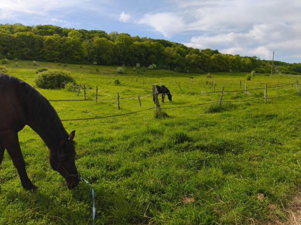 maison individuelle+ haras de 26 hectares à vendre