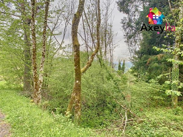 Saint-Nicolas-des-Biefs (03250) A VENDRE- SAINT-NICOLAS-DES-BIEFS- MAISON EN PIERRES SUR TERRAIN DE 2117 M2