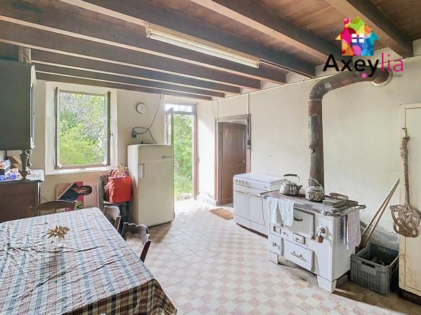 Saint-Nicolas-des-Biefs (03250) A VENDRE- SAINT-NICOLAS-DES-BIEFS- MAISON EN PIERRES SUR TERRAIN DE 2117 M2