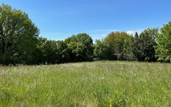 Terrain à vendre    Pont-l'Abbé-d'Arnoult