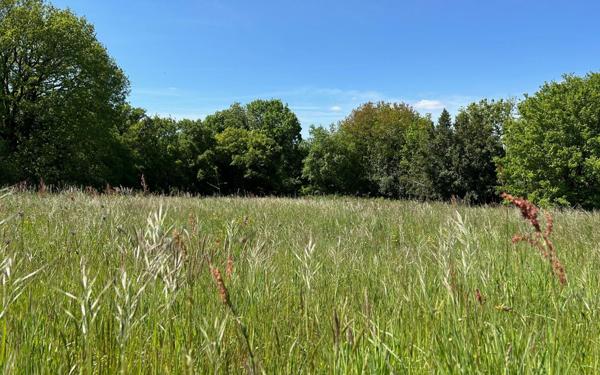 Terrain à vendre    Pont-l'Abbé-d'Arnoult