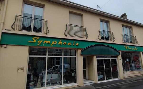 IMMEUBLE composé d'une Maison de 6 pièces et d'un local commercial à MONTSURS (53)