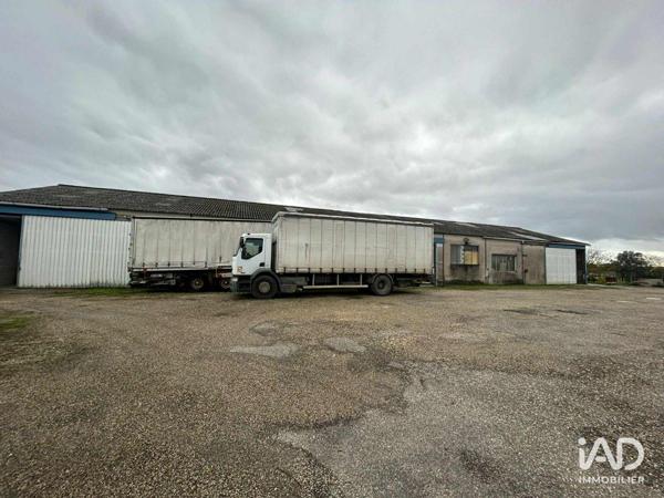 Local d’activité à vendre 800 m² Mézin