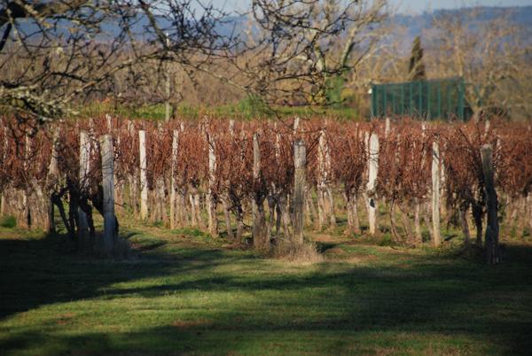 Grézels (46700) Manoir au bord du Lot avec 3,7 ha