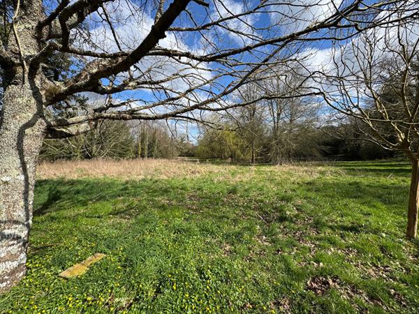 Maison de 215 m² avec plus d'1 ha de terrain et dépendances en campagne d'Ambon