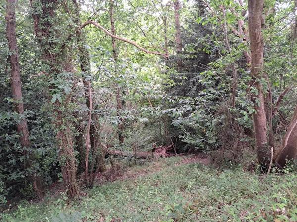 Achat - Terrain de loisirs, bois, étangs Camlez 22450 28680 m 2