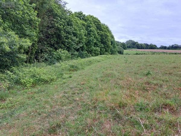 Achat - Terrain de loisirs, bois, étangs Camlez 22450 28680 m 2